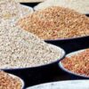 Nigeria’s transgenic beans revolutionising food production — NABDA