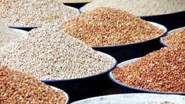 Nigeria’s transgenic beans revolutionising food production — NABDA