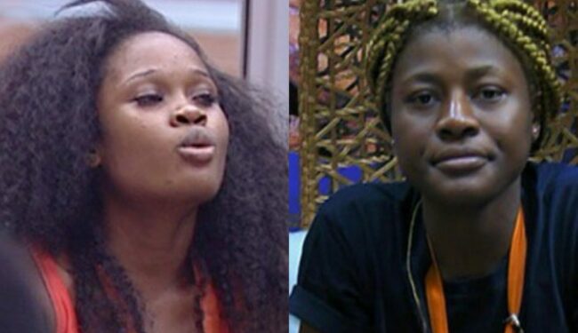 #BBNaijaAllStars: I don’t care about Alex, pretence is over — CeeC