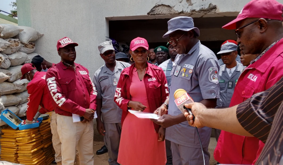 NDLEA seizes N56.9m worth of illicit drugs in FCT, arrests 343 suspects