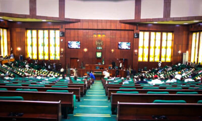 Reps fault NLC over lawmakers’ N100m palliative