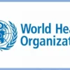 WHO asks China for details on outbreaks of respiratory illness