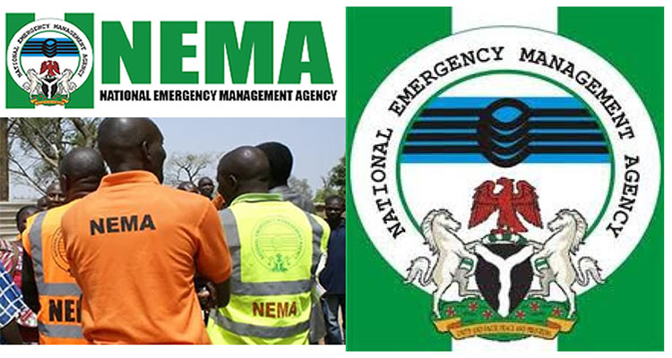 85 Killed, 66 Injured In Kaduna Army Air Strike – NEMA