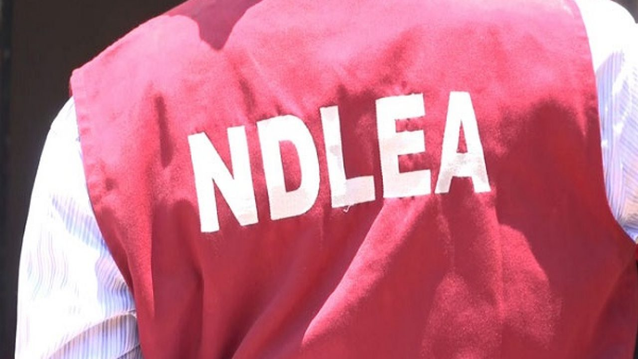 NDLEA Arrests Port Terminal Operator, Docks Worker Over 1,044.29kg Cocaine and ‘Colos’