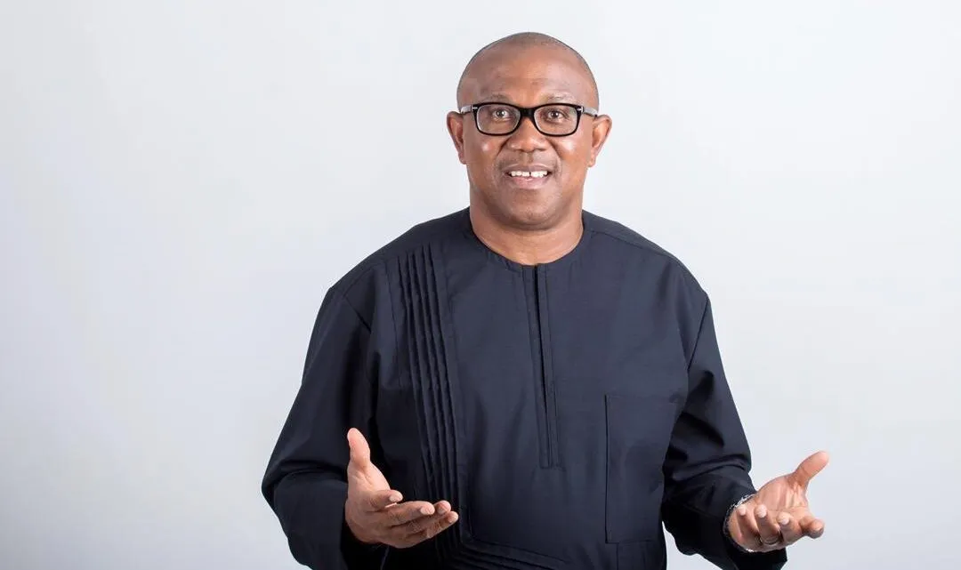 Peter Obi Backs Tinubu on Oronsaye Report as FG Allays Fears Of Job Losses 