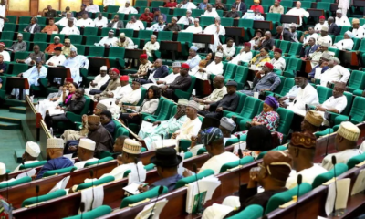 Lawmakers To Probe CBN, Discos On National Mass Metering Programme
