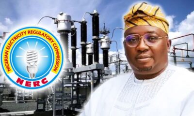 Power Minister, NERC Appear Before Senate Over Electricity Tariff Hike