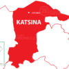 Cholera: Katsina Records 118 Suspected Cases, Activates Incident Management System