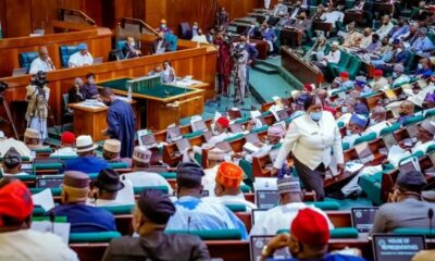 Reps Probe Foreign Interest In Edo Museum
